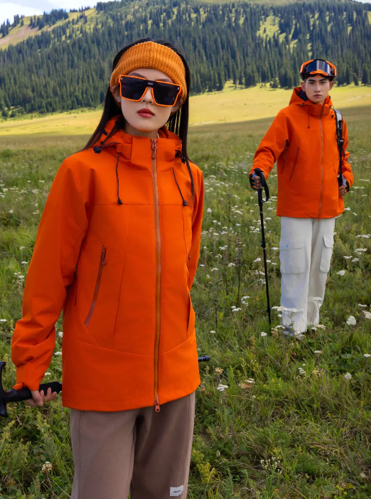 ʯ��ׯ����¹�װ���Ƴ���