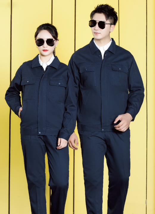 ʯ��ׯ�ﶬ����������